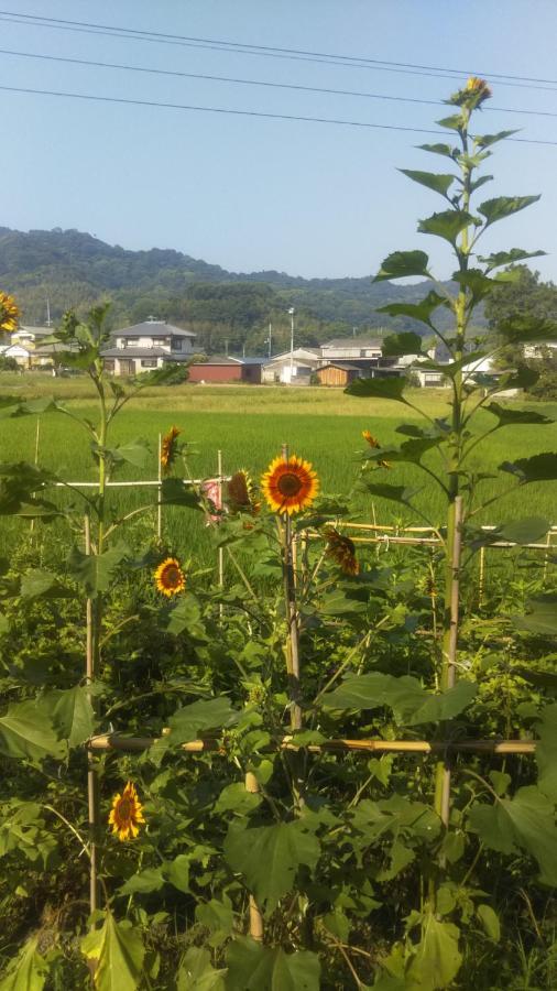 Raibrasil Guest House Sanuki  Exterior photo